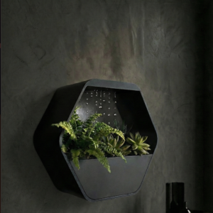 HexaRain Zen Slow-Drip Planter