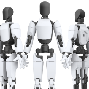 Home Articulated Tesla Robot Optimus Kit